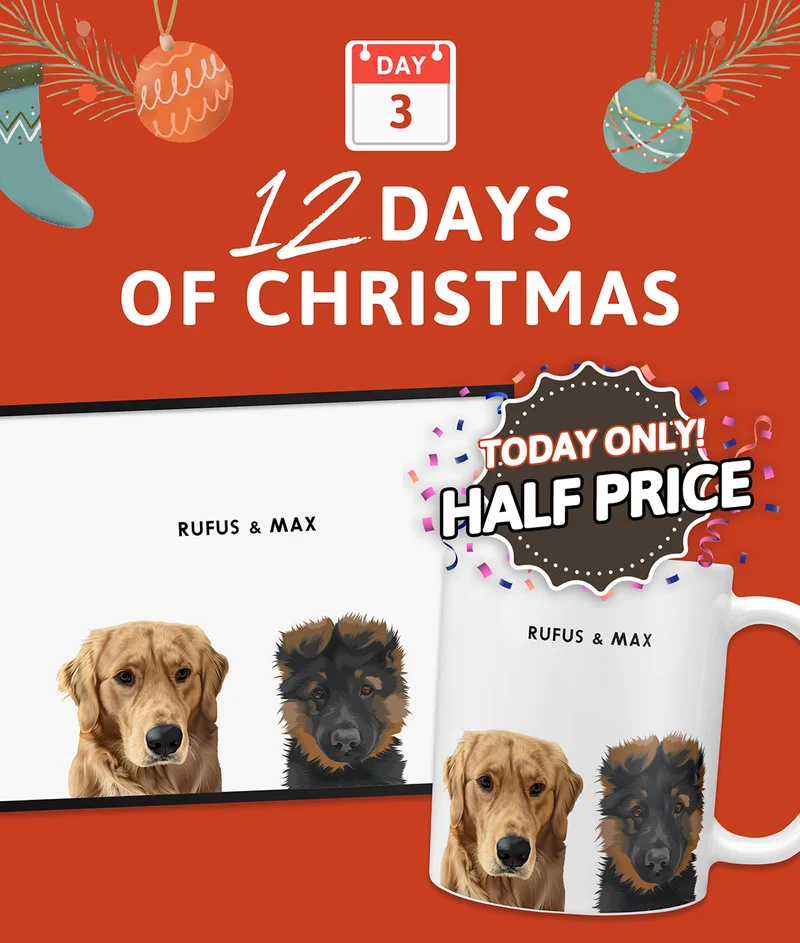 DAY 3: 12 Days of Christmas. Half-price Modern pet mug