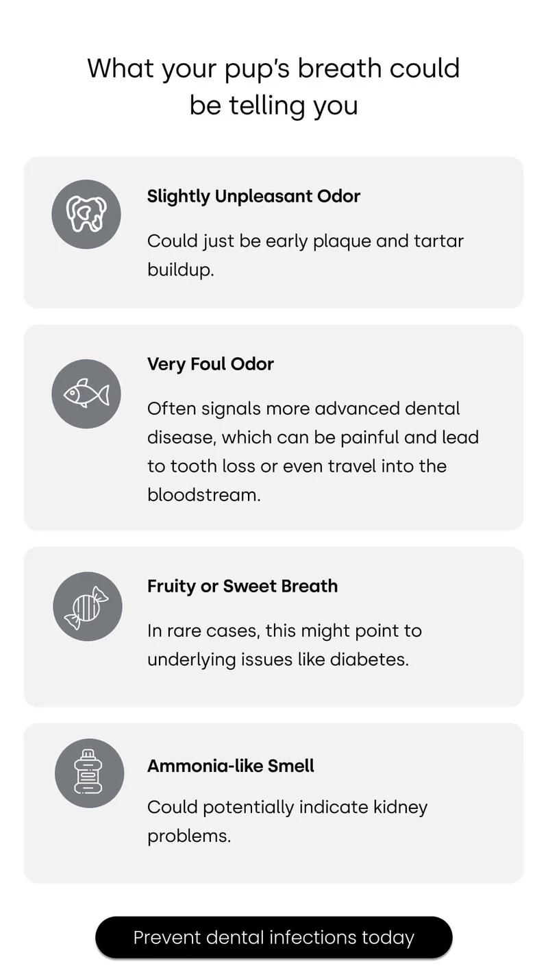 What your pup’s breath could be telling you - Prevent dental infections today