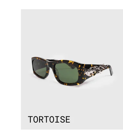 Tortoise