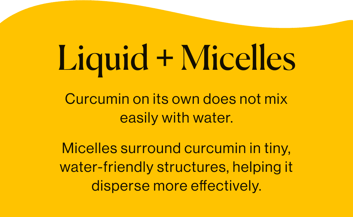 Curcumin on its own does not mix easily with water. Micelles surround curcumin in tiny, water-friendly structures, helping it disperse more effectively.