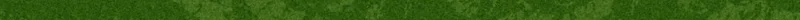 Light green patterned divider