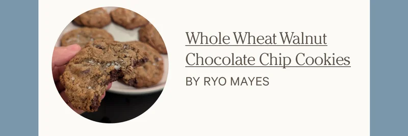 Whole Wheat Walnut Chocolate Chip Cookies by Ryo Mayes