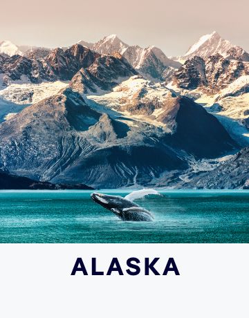 Alaska – Click to View Cruises & Book Now Alaska – Click to View Cruises & Book Now