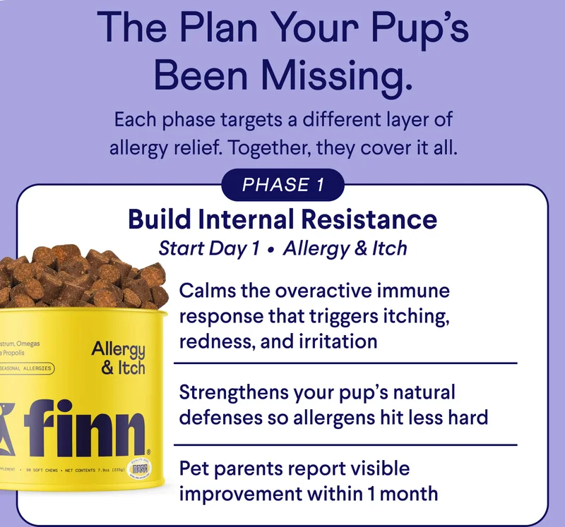 TEXT: The Plan Your Pup’s Been Missing. Each phase targets a different layer of allergy relief. Together, they cover it all. PHASE 1: Build Internal Resistance Start Day 1&nbsp; •&nbsp; Allergy & Itch Calms the overactive immune response that triggers itching, redness, and irritation  Strengthens your pup’s natural defenses so allergens hit less hard  Pet parents report visible improvement within 1 month