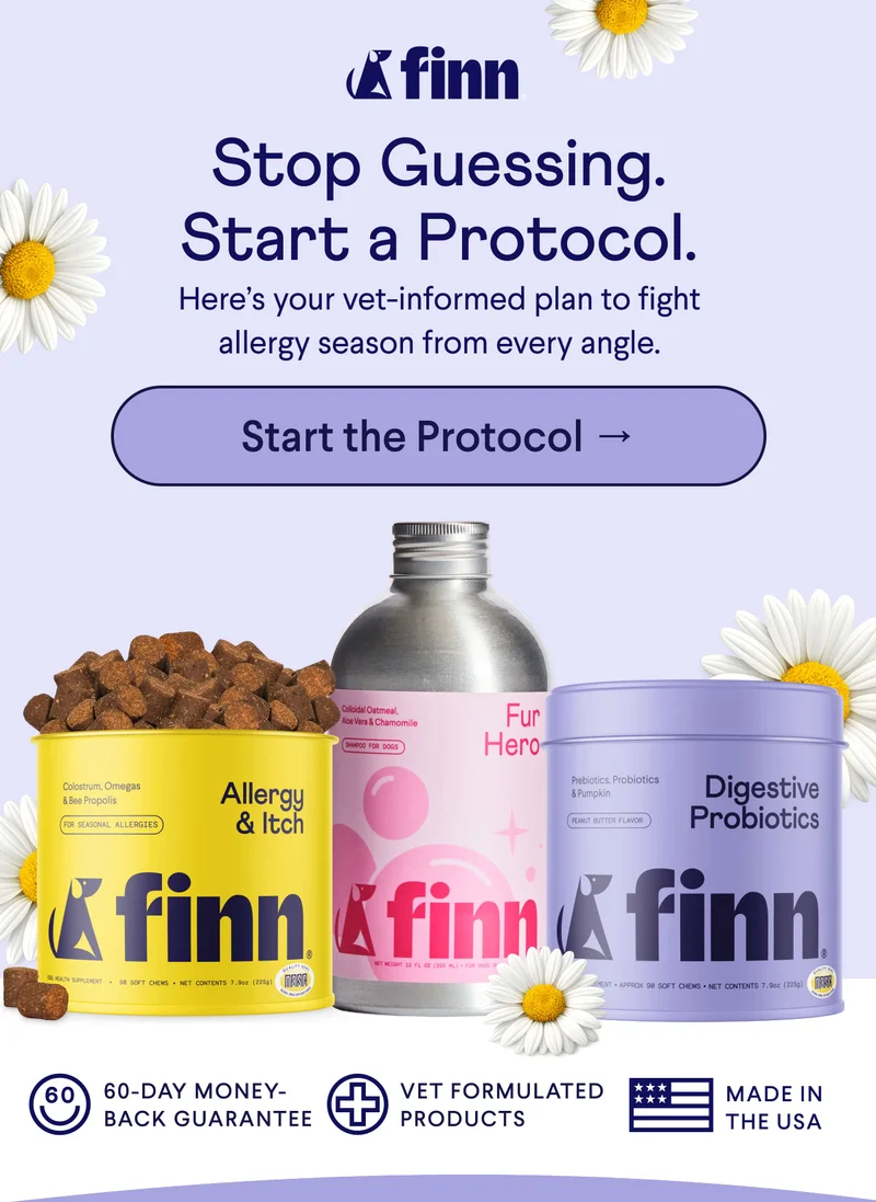 Finn logo. Text: Stop Guessing. Start a Protocol. Here’s your vet-informed plan to fight allergy season from every angle. CTA: Start the Protocol → Badges: 60-DAY MONEY-BACK GUARANTEE | VET-FORMULATED PRODUCTS | MADE IN THE USA