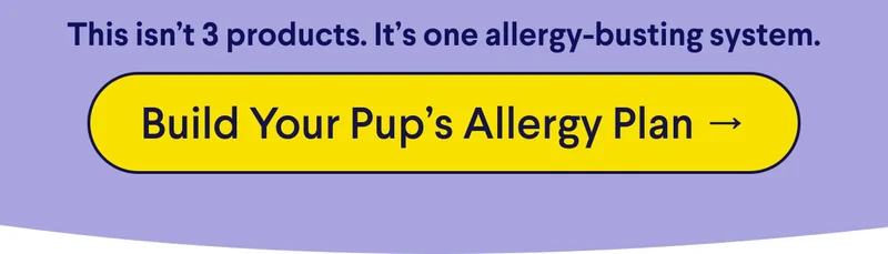 Text: PHASE 3: Strengthen the Gut Add at Day 14&nbsp; •&nbsp; Digestive Probiotics 70% of the immune system lives in the gut — this is where allergies start  Restores the healthy bacteria that regulate your pup’s inflammatory response  Supports nutrient absorption so every supplement works harder. This isn’t 3 products. It’s one allergy-busting system. CTA: Build Your Pup’s Allergy Plan →