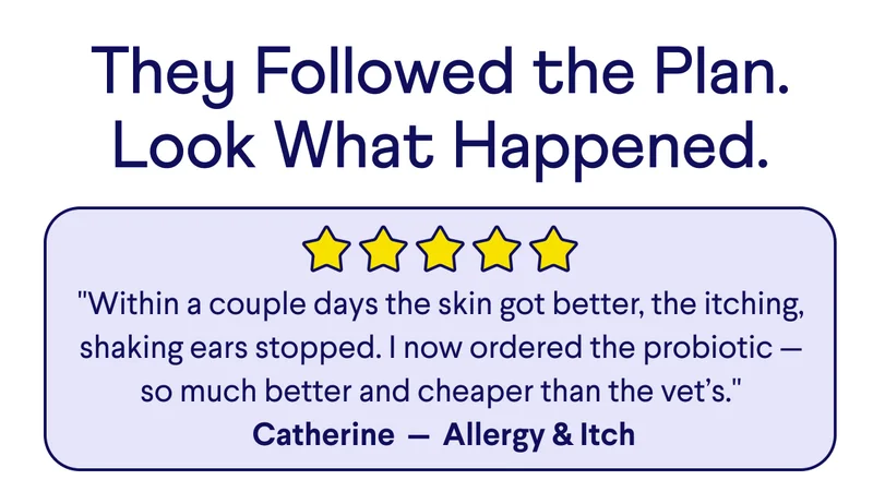 Text:They Followed the Plan. Look What Happened. "Within a couple days the skin got better, the itching, shaking ears stopped. I now ordered the probiotic — so much better and cheaper than the vet’s." &nbsp;Catherine&nbsp; —&nbsp; Allergy & Itch