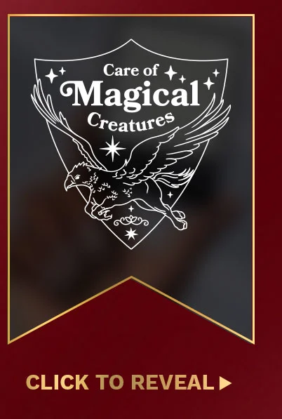 Care of Magical Creatures