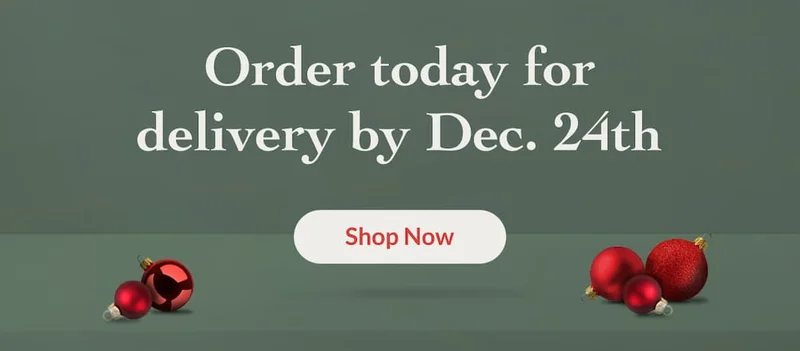 Delivery Deadline