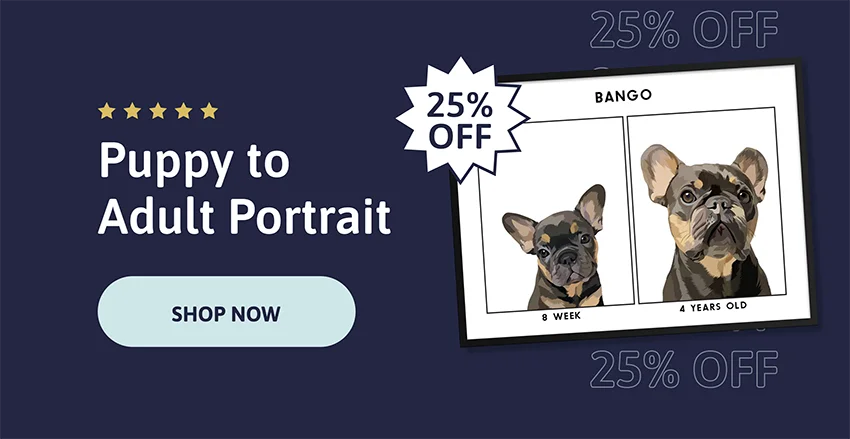 Puppy to Adult Portrait - 25% OFF.