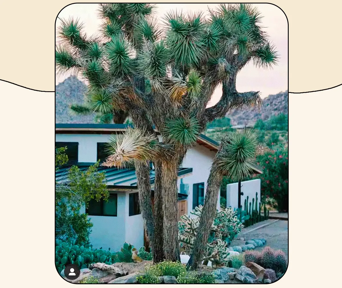Book a Desert Getaway