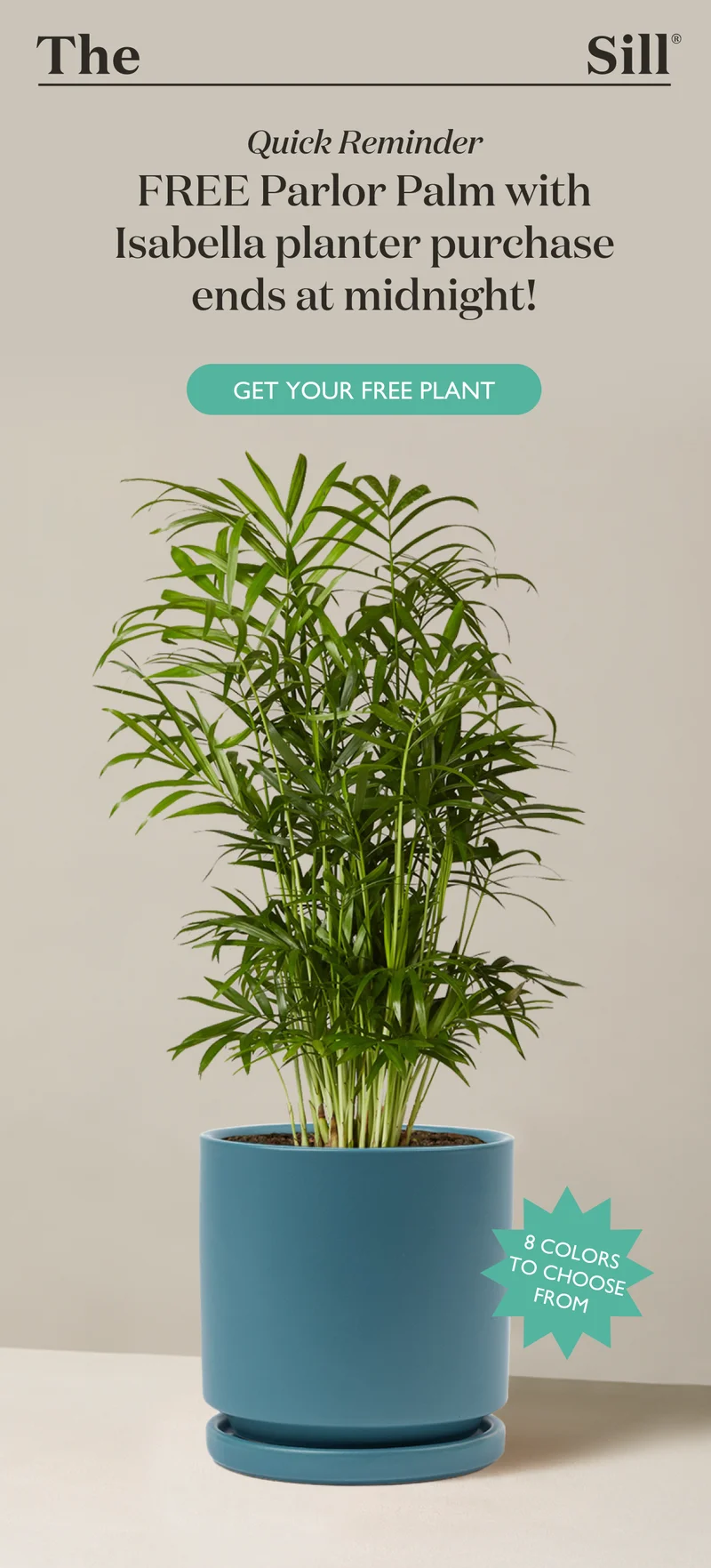 Quick Reminder: Our FREE Parlor Palm with Isabella planter purchase promotion ends tonight at midnight!