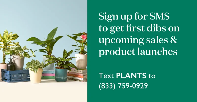 Sign up for SMS to get first dibs on upcoming sales and product launches. Text PLANTS to (833) 759-0929.