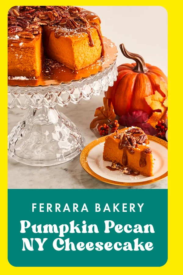 Pumpkin Pecan NYC Cheesecake