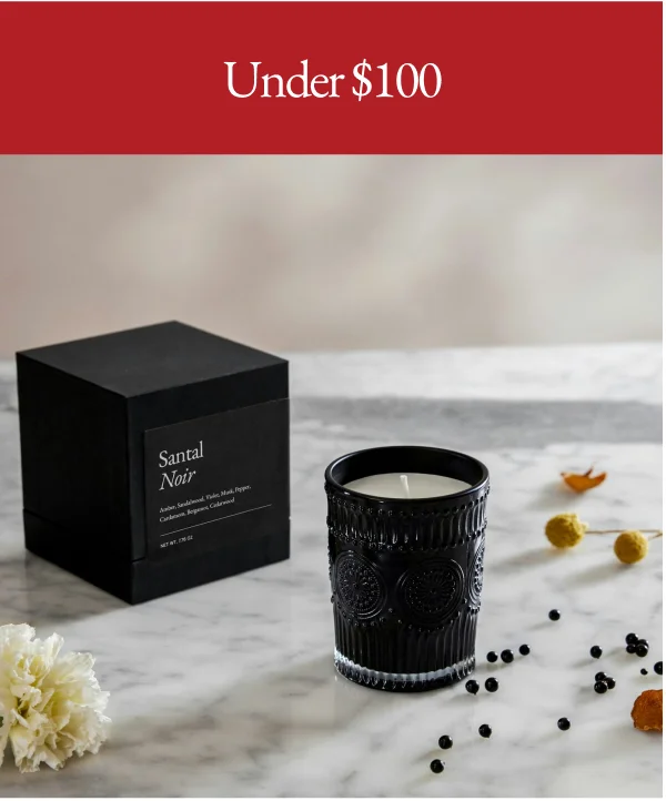 Under $100