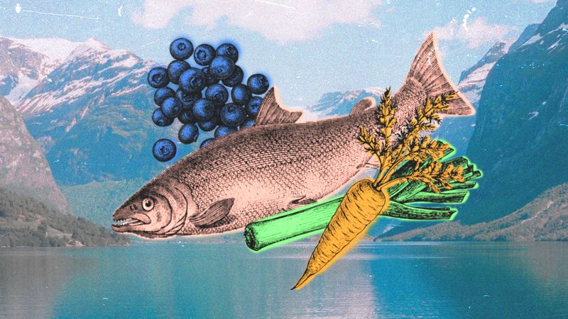The Nordic Diet
