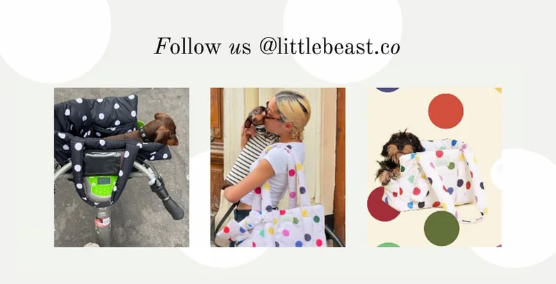 Follow us on Instagram