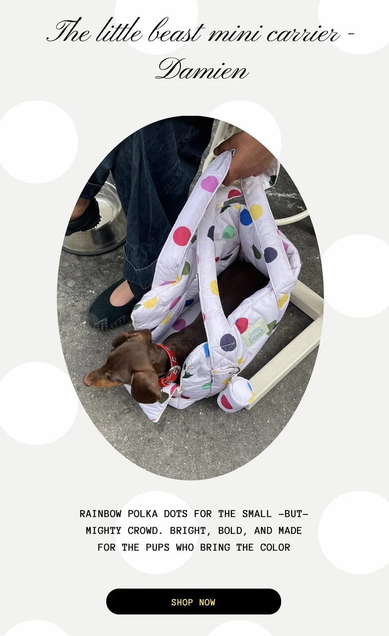 The Little Beast Mini Carrier - Damien
