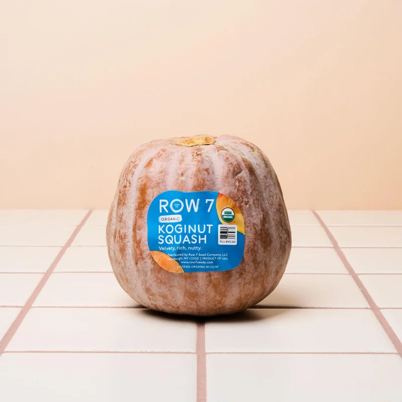 Organic Koginut Squash