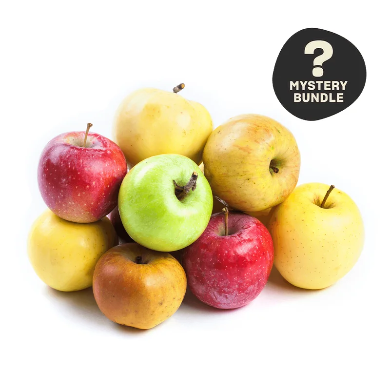 Season's Best Mystery Apple