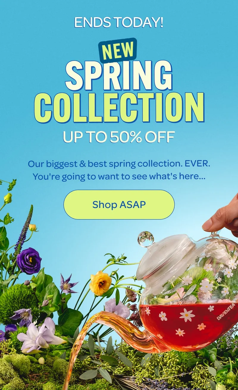 Spring Collection up to 50% off