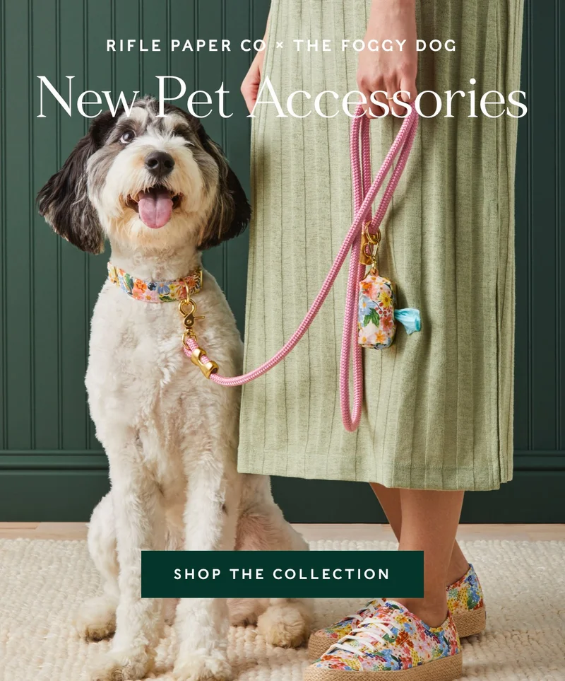 New Pet Accessories