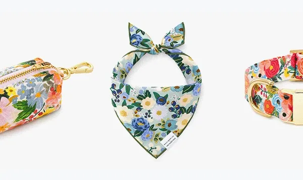 New Pet Accessories