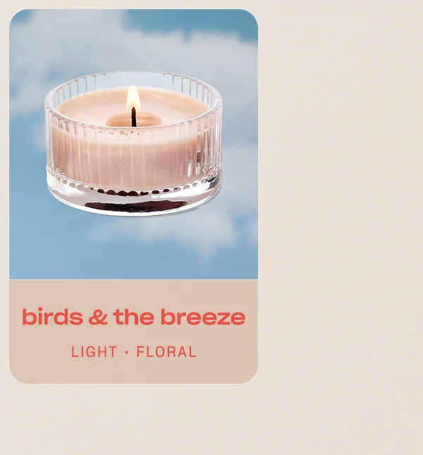 birds and the breeze light • floral