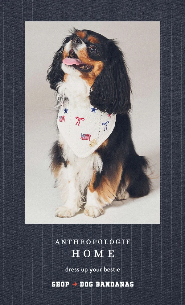 Shop Dog Bandanas