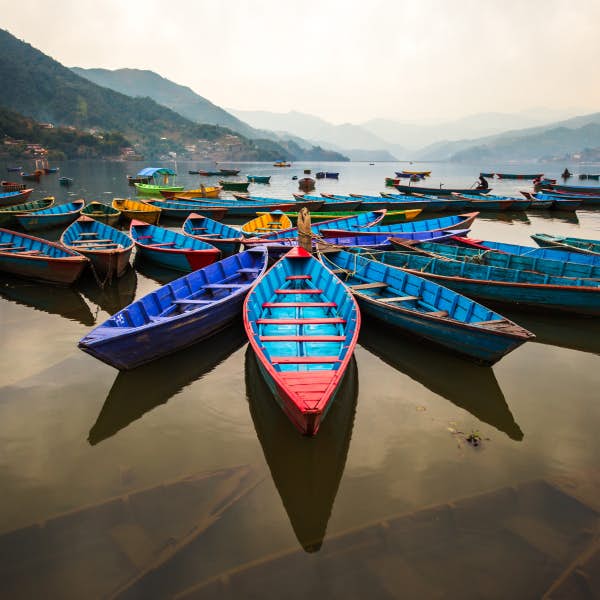 Boats in Phewa Lake