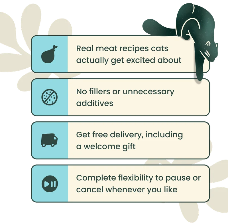 Real meat recipes cats actually get excited about,  No fillers or unnecessary additives, Get free delivery, including a welcome gift, Complete flexibility to pause or cancel whenever you like
