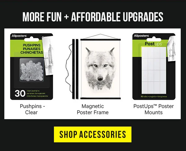 More Fun + Affordable Upgrades