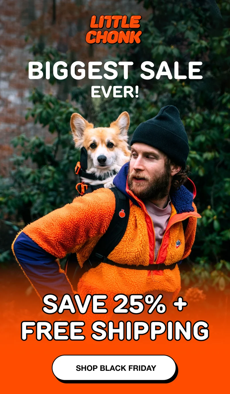 BIGGEST SALE OF THE YEAR