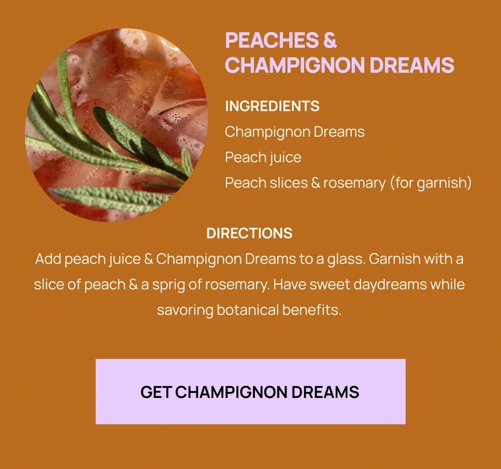 Get Champignon Dreams