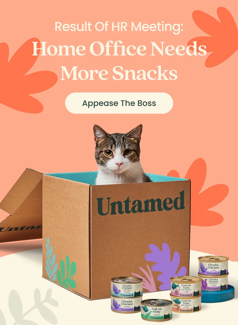 Appease The Boss