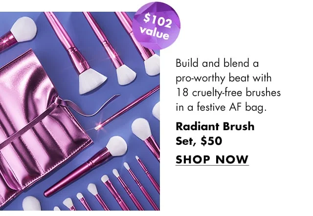 Radiant 19-Piece Brush Set
