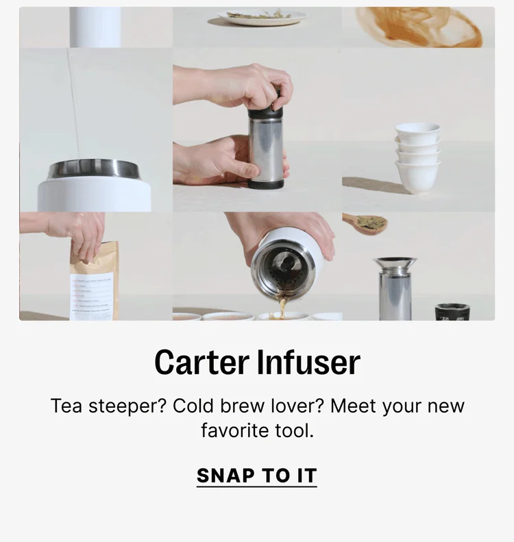 Carter Infuser - tea steeper? Cold brew lover? Meet your new favorite tool. - Snap to it