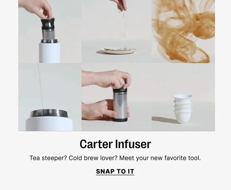 Carter Infuser - tea steeper? Cold brew lover? Meet your new favorite tool. - Snap to it