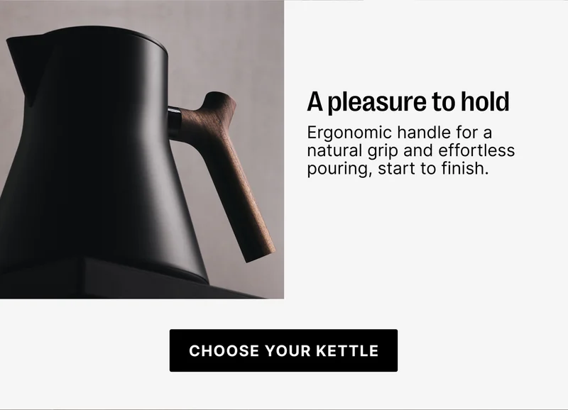 A pleasure to hold - ergonomic handle for natural grip and effortless pouring - choose your kettle