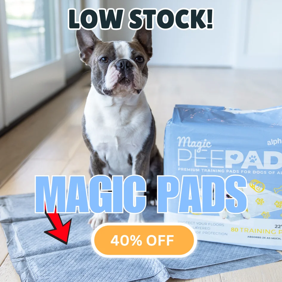 Magic Pads