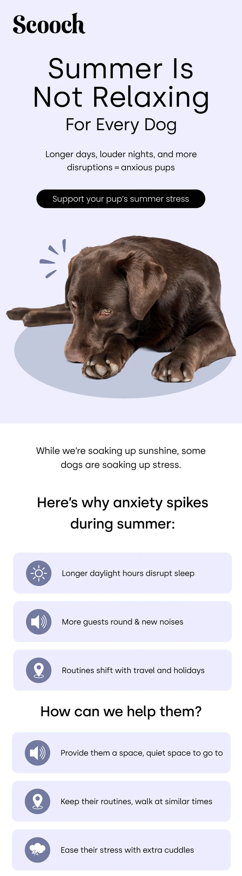Longer days, louder nights, and more disruptions = anxious pups