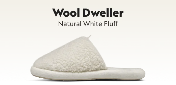 Allbirds Wool Dweller