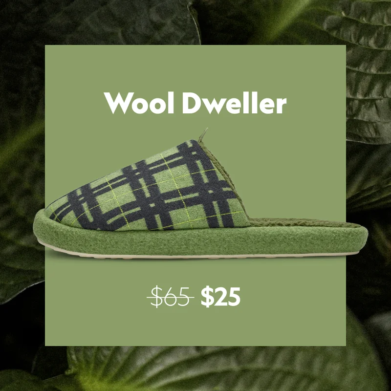 Allbirds Wool Dweller