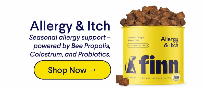 TEXT: Allergy & Itch Seasonal allergy support – powered by Bee Propolis, Colostrum, and Probiotics. CTA: Shop Now →