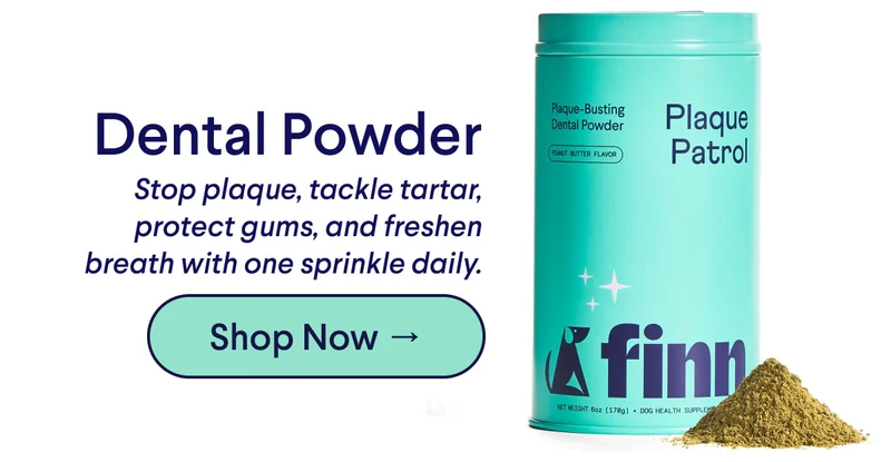 TEXT: Dental Powder Stop plaque, tackle tartar, protect gums, and freshen breath with one sprinkle daily. CTA: Shop Now →