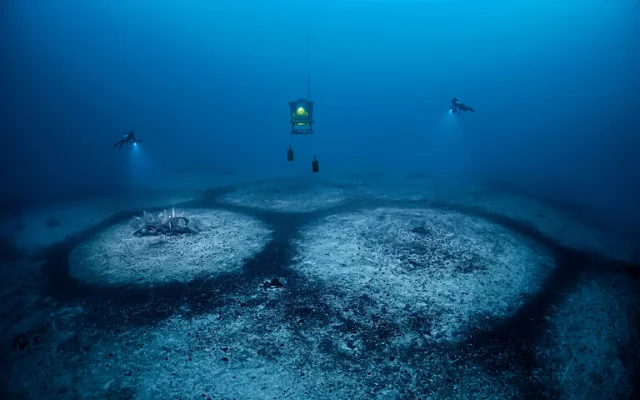 Image of perfect circles on the floor of the Mediterranean