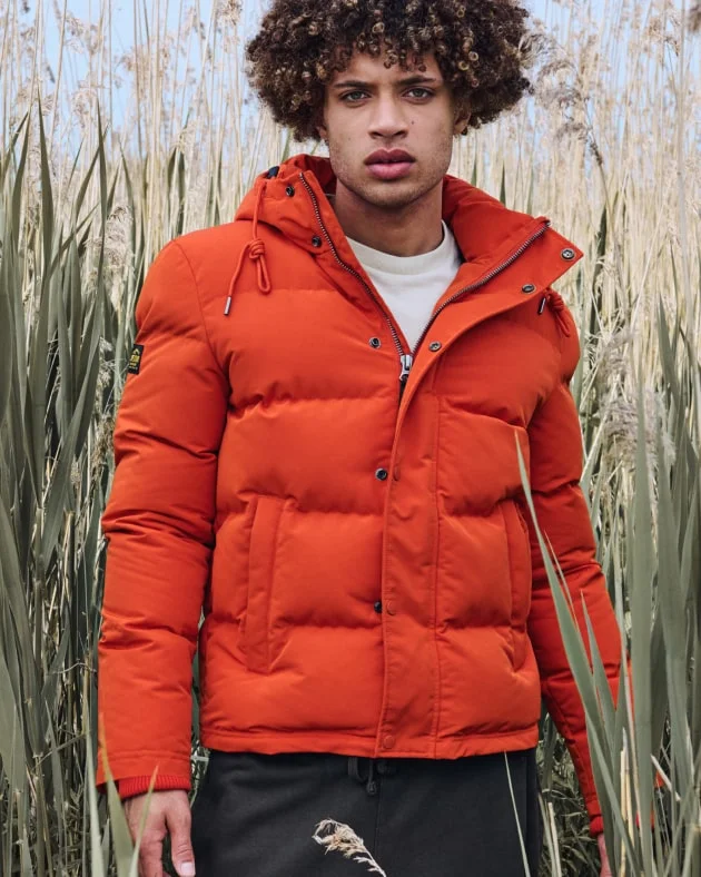 superdry