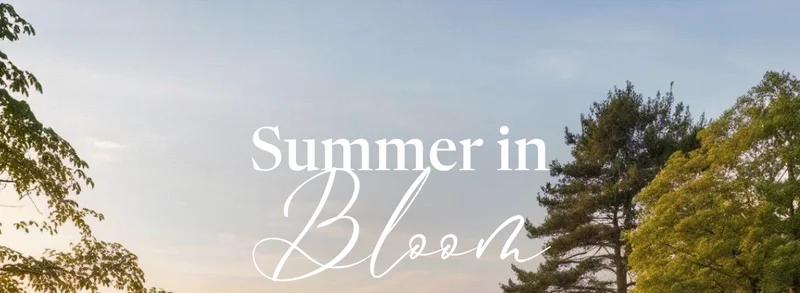 Summer in Bloom