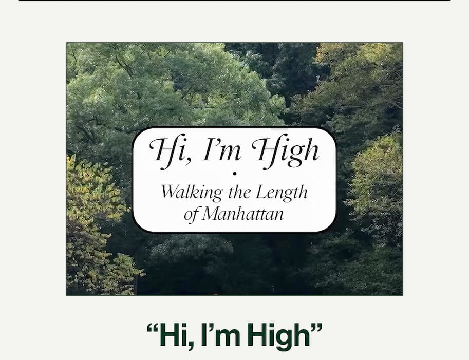 "Hi, I'm High"