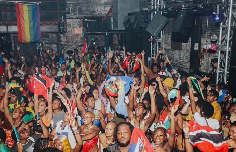 A photograph of a large group of people partying and waving flags